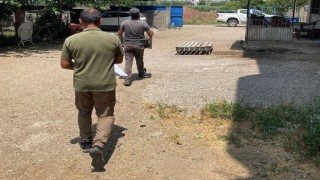 Osmaniyede yaralı leylek koruma altına alındı