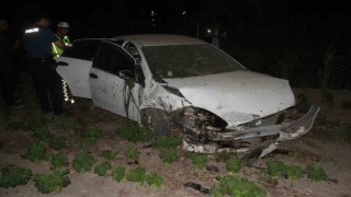Otomobil ağaca çarpıp sebze bahçesine girdi: 5 yaralı