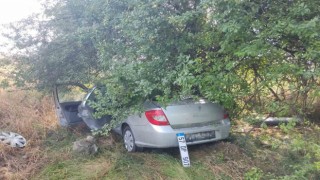 Otomobil ağaca çarptı: 3 yaralı