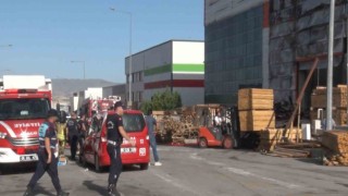 Palet fabrikasında korkutan yangın