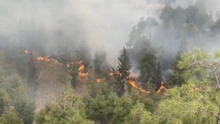 Pamukkaledeki orman yangınında 35 hektar alan zarar gördü