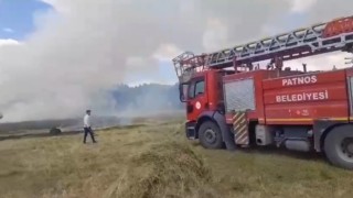 Patnosta buğday tarlası küle döndü