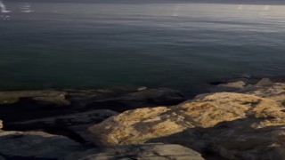Pendik Sahilinde su samuru görüldü