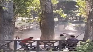 Piknik alanı savaş alanına döndü: 5 yaralı