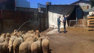 Polisler kurban satış pazarındaki esnafı dolandırıcılık ve hırsızlık olaylarına karşı bilgilendirdi