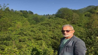 Şahin: Fındıkta fiyat spekülasyonu için yüksek rekolte açıklanıyor