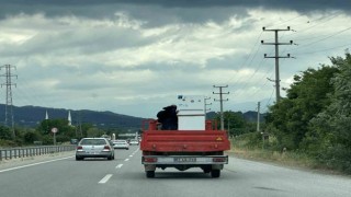 Sakaryada kamyonet kasasında tehlikeli yolculuk