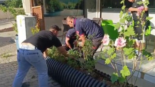 Saksının altına sıkışan Boncuk için seferber oldular
