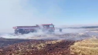 Saman balyaları cayır cayır yandı