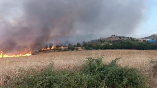 Saman yangınında hayvanlar tahliye edildi