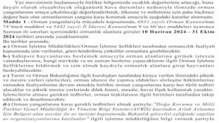 Samsunda ormanlık alanlara girişler yasaklandı