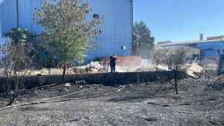 Sanayi sitesinin bahçesinde yangın