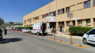 Şanlıurfada bir vatandaşı ısıran köpek kuduz çıktı