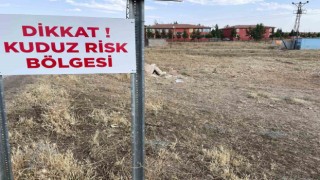 Şanlıurfada kuduz vakaları nedeniyle 2 mahalle karantinaya alındı