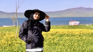 Sarı renkleriyle Ağrının doğasını canlandıran çiçekler göz kamaştırıyor