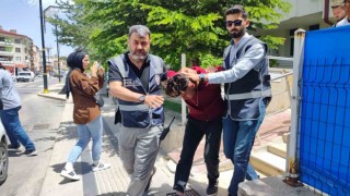 Şarkışlada çaldıkları motosikletle Kangalda yakalandılar