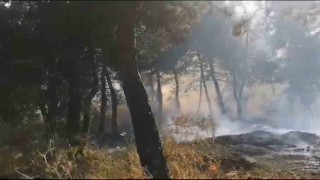 Savaştepede arazi yangını ormana sıçradı