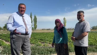 Sebze üreticilerini dinleyen Milletvekili Gürer bin ah işitti