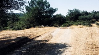 Şehzadeler Belediyesinden Çınarlıkuyuda yol çalışması