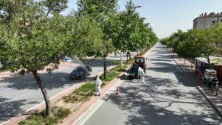 Selçukluda haşere ile mücadele sürüyor
