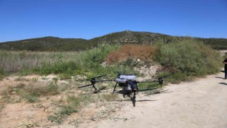 Selçukta ilaçlama çalışması yapıldı