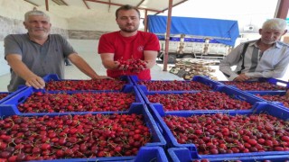 Selendili kiraz üreticileri umduğunu bulamadı