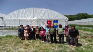 Seralardan ilk ürünler toplanmaya başladı