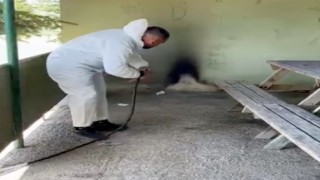 Sıcaklar arttı, ilaçlama çalışmaları başladı
