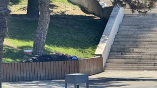 Sıcaktan bunalan gölgelik alanlara sığındı