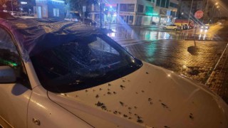 Şiddetli rüzgardan düşen cam otomobile isabet etti
