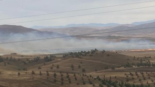 Siirt Havaalanı yakınlarında anız yangını