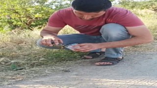 Siirtte bir vatandaş, sıcaktan etkilenen kaplumbağaya su içirdi