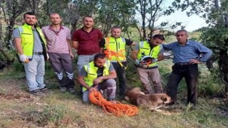 Siirtte kuyuya düşen çoban köpeği, ERKUT ekipleri tarafından kurtarıldı