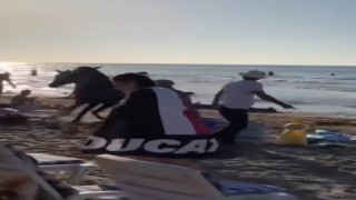 Şile plajına getirilen atlar insanların arasına daldı