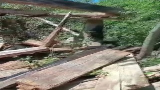 Sinopta filmleri aratmayacak hırsızlık olayı: Tahıl ambarı çalındı