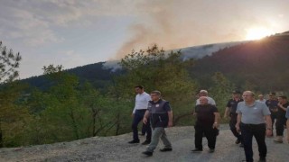 Sinoptaki orman yangını kontrol altına alındı