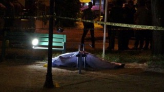 Şişede durduğu gibi durmadı: Arkadaşını bıçaklayarak öldürdü, tahrayla da başkasını yaraladı, ben değil içki yaptı dedi