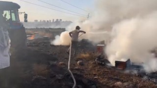 Siverekte çıkan yangında yüzlerce arı kovanı kül oldu