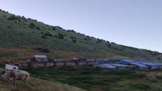 Soba yayla evlerini kül etti