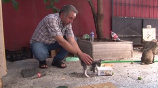 Sokak hayvanlarını beslediği için darp edildi