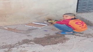 Sokakta yemek pişirip piknik yapan çocuklar görenleri tebessüm ettirdi