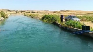 Sulama kanalında kaybolan çobanı arama çalışmaları 7. gününde