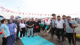 Sultangazide En Güzel Kurbanlık yarışması düzenlendi