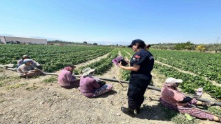 Tarım işçisi kadınlara KADES uygulaması yükletildi