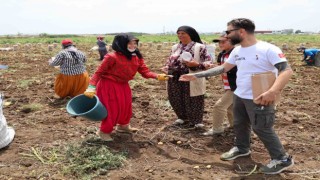 Sıcakta tarlada çalışan çocuklara dondurma sürprizi