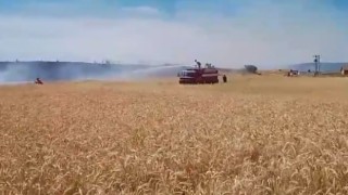 Tavşanlıda ekili alanda çıkan yangın kısa sürede söndürüldü