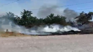 Tavşanlıda ot yangını korkuttu