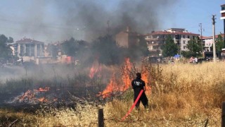 Tekirdağda mahalle arasındaki arazi yangını korkuttu: 50 güvercin son anda kurtarıldı