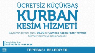 Tepebaşında kesim alanı hazır