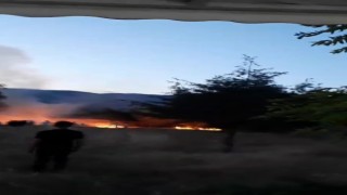 Tokatta havai fişek nedeniyle yangın çıktı